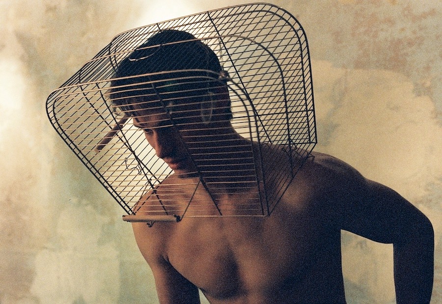 Poikas

 | Marc Birdcage